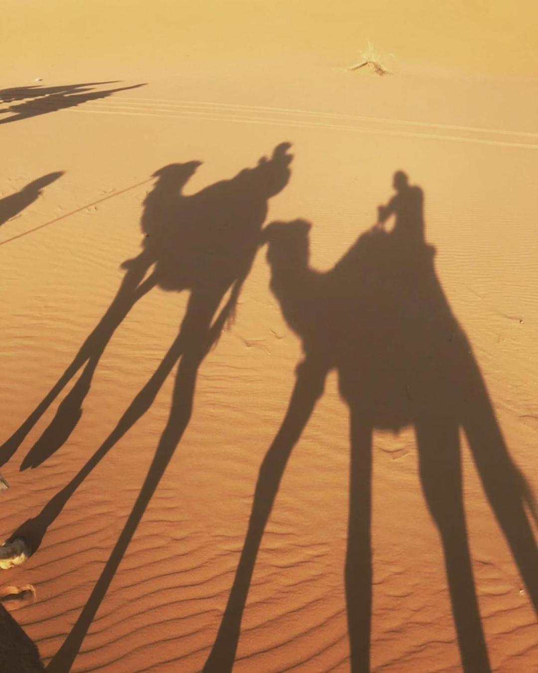 Desert Lover'S Luxury Camp Мерцуга Екстериор снимка
